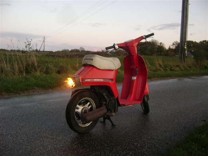 Honda Melody Molly VI - Solgt - Som den står dagen i dag :D November 2008 billede 6
