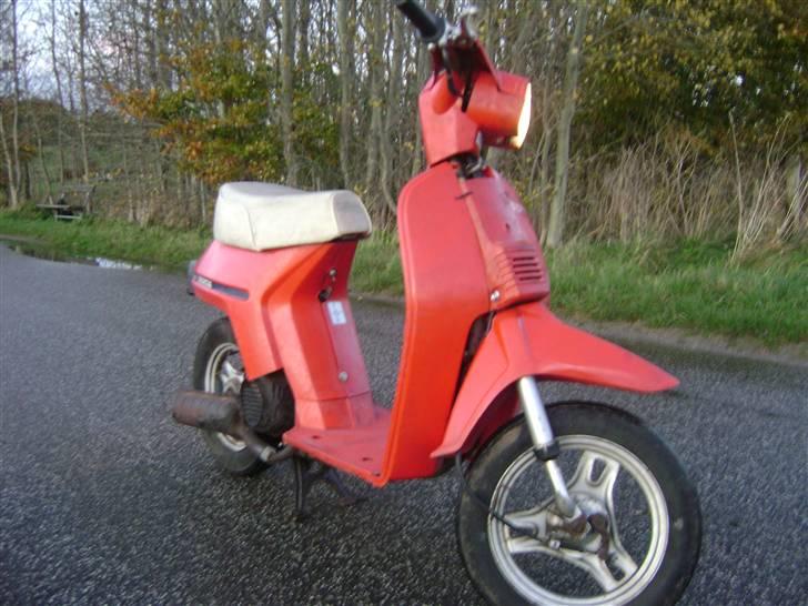 Honda Melody Molly VI - Solgt - Som den står dagen i dag :D November 2008 billede 8