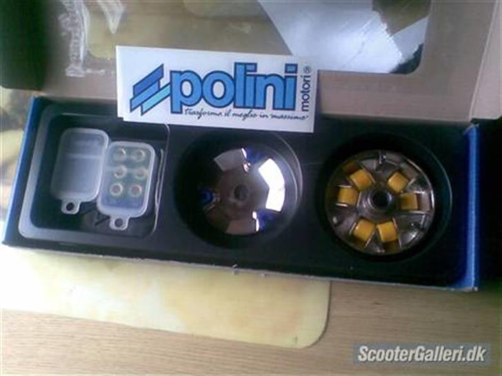 PGO hot 50     solgt billede 4