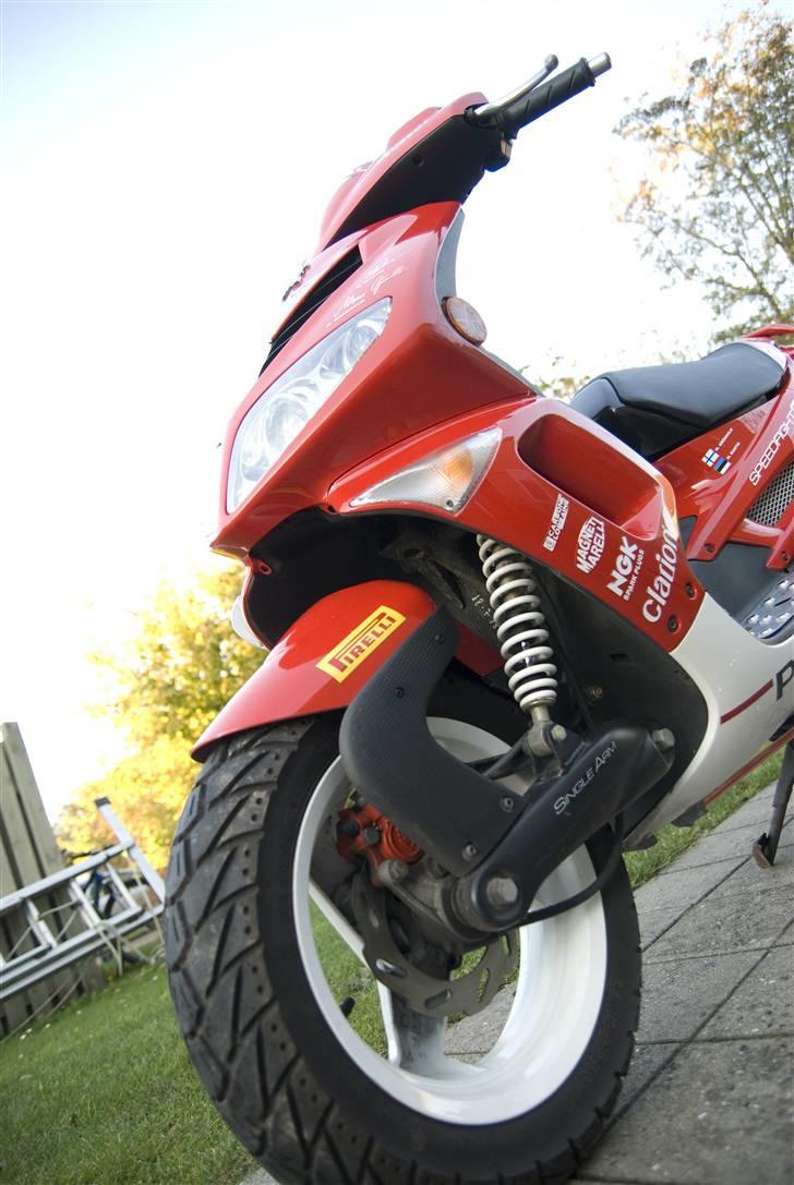 Peugeot Speedfight 2 307 WRC billede 8