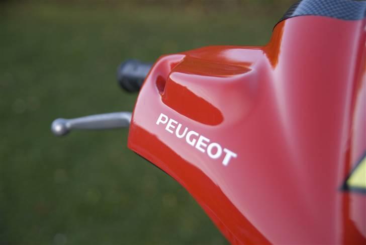 Peugeot Speedfight 2 307 WRC billede 12