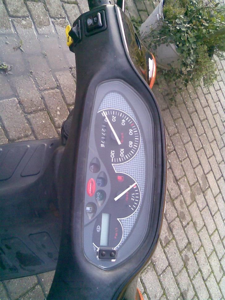 Piaggio typhoon billede 5