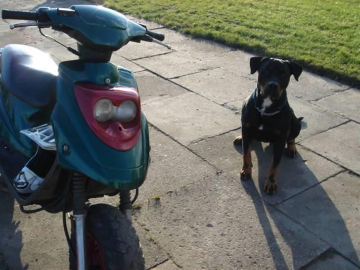 PGO Hot 50 billede 11