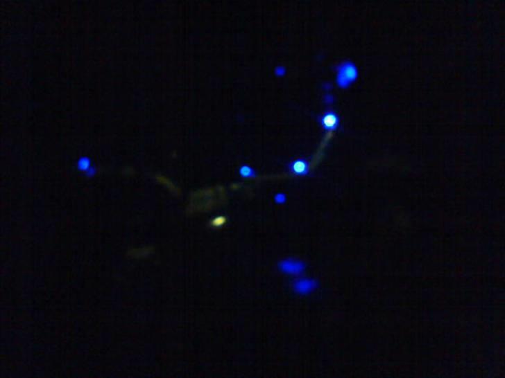 Suzuki fz50 solgt billede 10