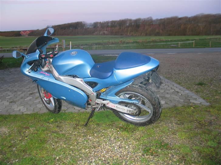 Aprilia Evo Corse Rs50 billede 5