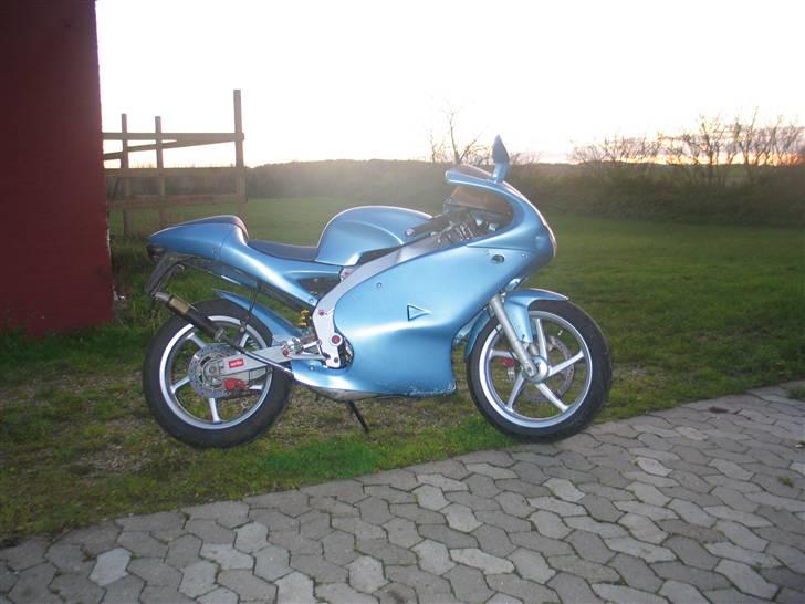 Aprilia Evo Corse Rs50 billede 6