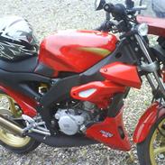 Aprilia Rs 50 Tuono