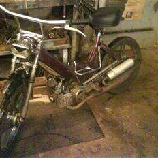 Puch maxi k polini ( byttet )