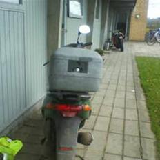 Piaggio typoon SOLGT