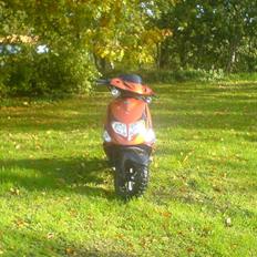 PGO Dr. Big X(ORANGE STAR)X