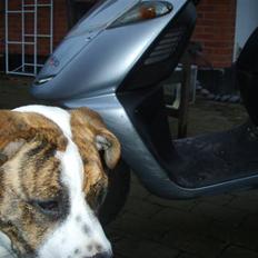 Aprilia sonic STJÅLET 25/8-09