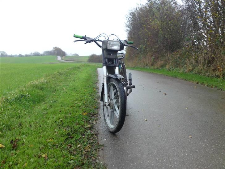 Puch maxi p1 Polini billede 1