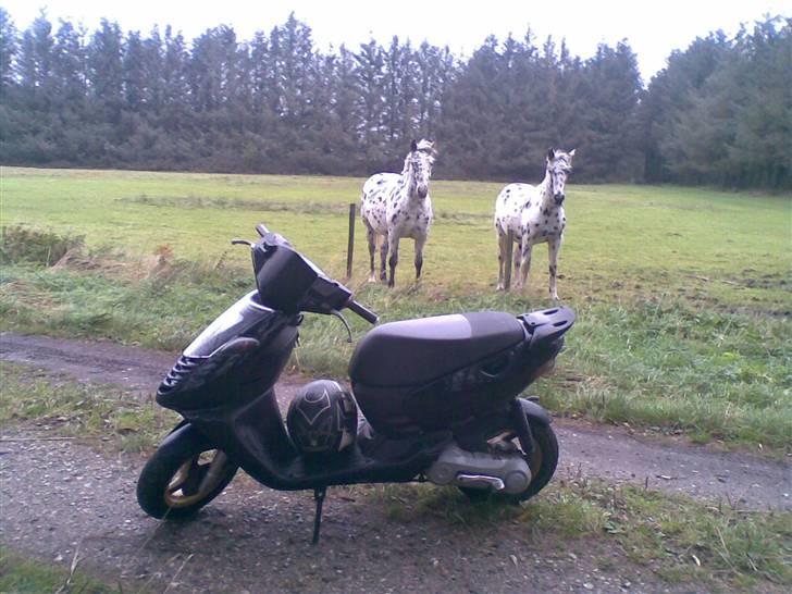 Aprilia Sonic. stjålet billede 8