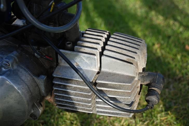 Puch Maxi kl SOLGT billede 14