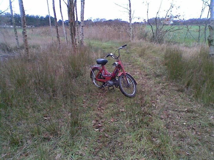 Puch maxi k billede 8