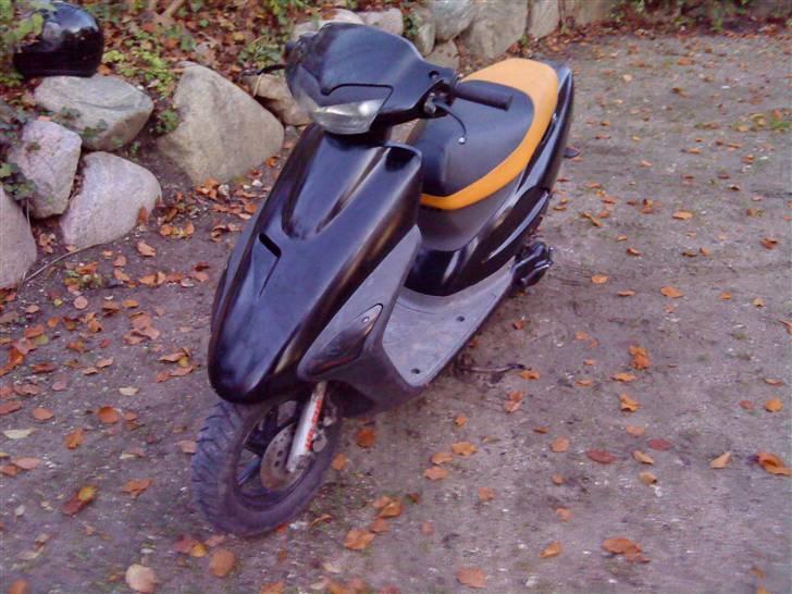 Honda Sfx Sport billede 1