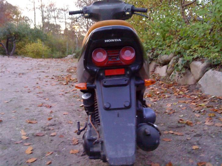 Honda Sfx Sport - bagskærmen kommer snart af!  billede 2