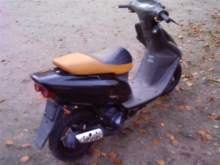 Honda Sfx Sport billede 3