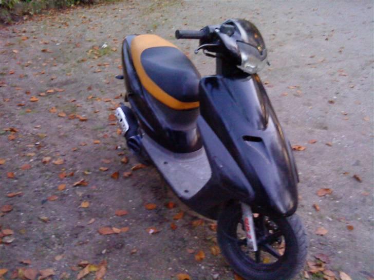Honda Sfx Sport billede 5