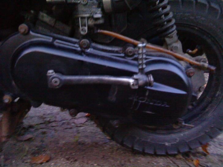 Honda Sfx Sport billede 6