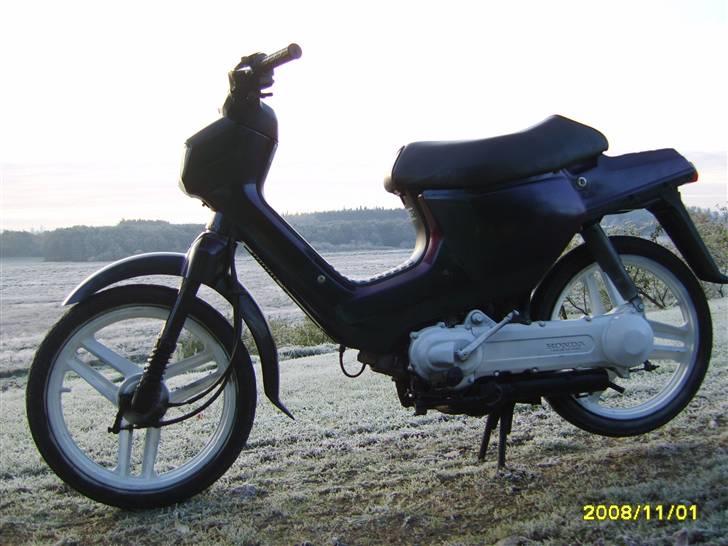 Honda Wallaroo solgt billede 1