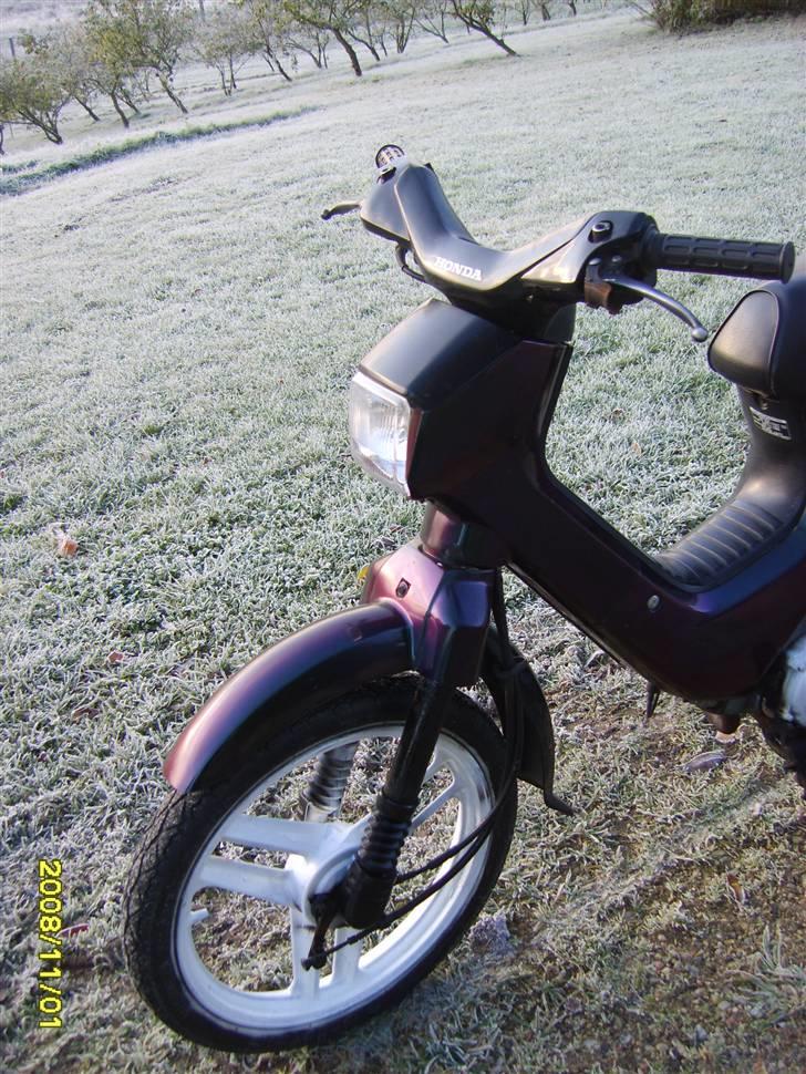 Honda Wallaroo solgt billede 2