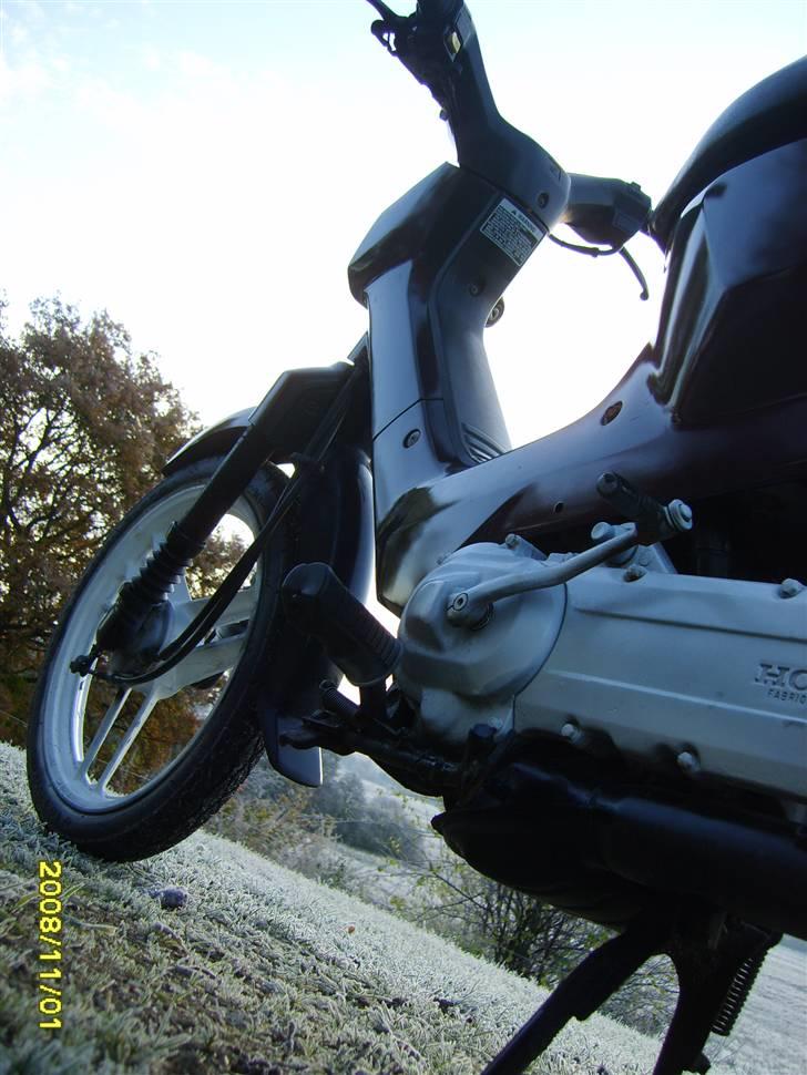 Honda Wallaroo solgt billede 3