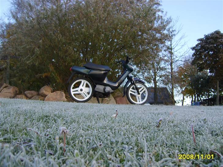 Honda Wallaroo solgt billede 5