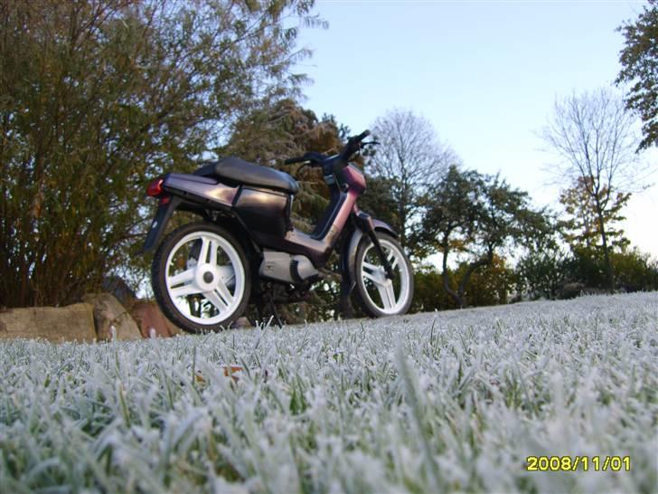 Honda Wallaroo solgt billede 6