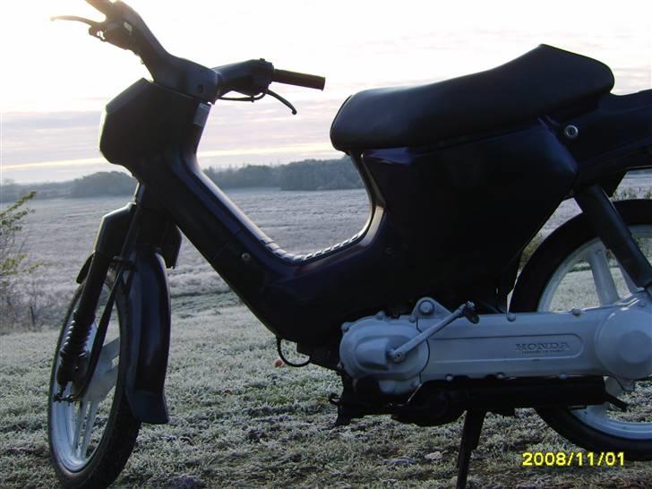 Honda Wallaroo solgt billede 10