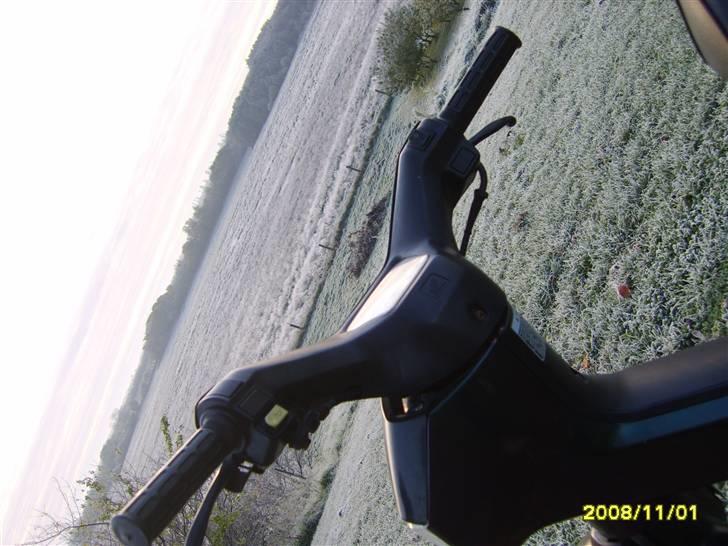 Honda Wallaroo solgt billede 11