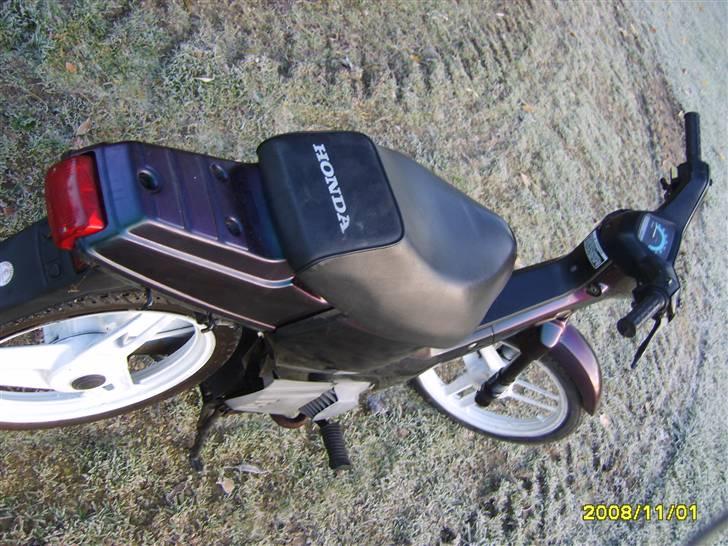Honda Wallaroo solgt billede 14