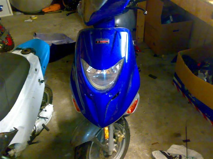 Adly gazzele billede 1