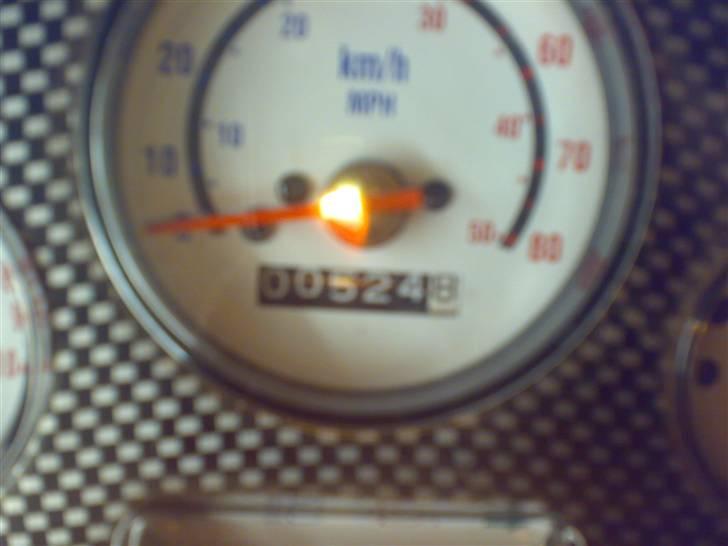 Adly gazzele billede 2