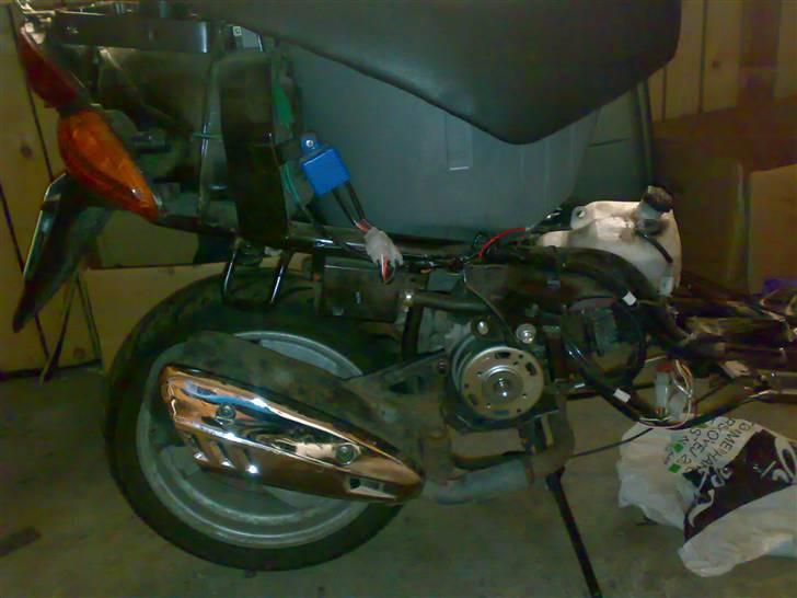 Adly gazzele billede 4