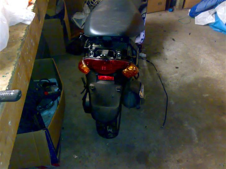 Adly gazzele billede 5