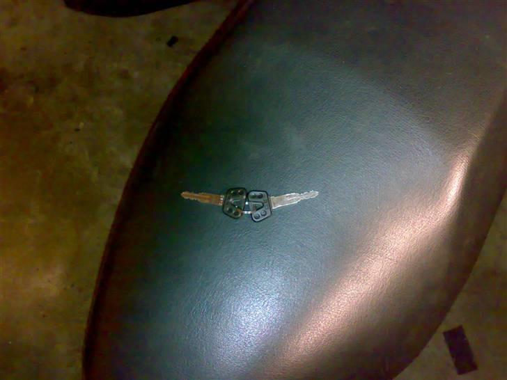 Adly gazzele billede 8