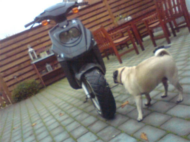 PGO hot 50  billede 11