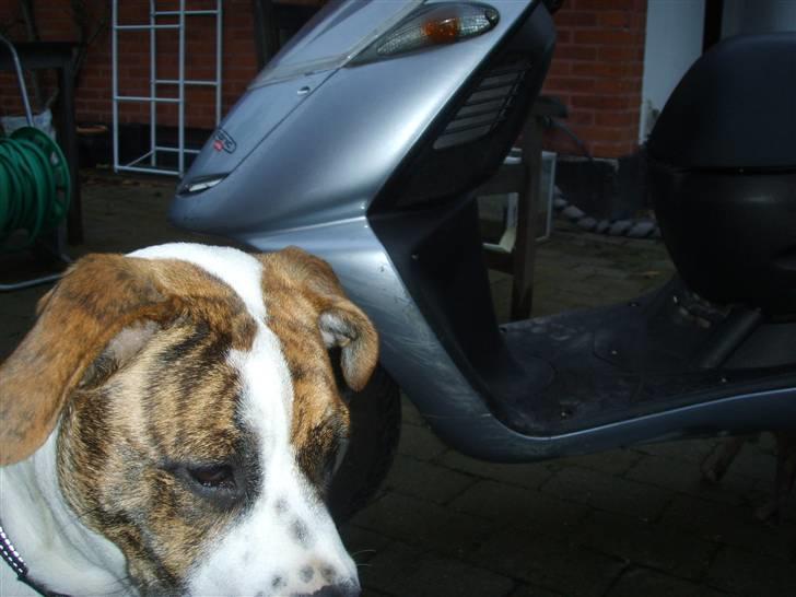 Aprilia sonic STJÅLET 25/8-09 billede 3