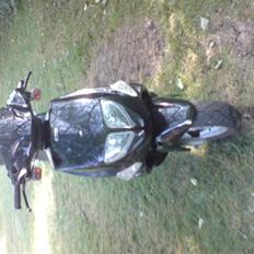 PGO dr big byttet til piaggio