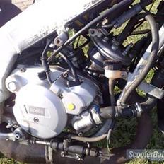 Aprilia Rs 50 #FØR#