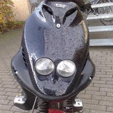 PGO pmx sport , polini ! 