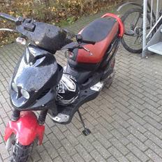 PGO pmx sport , polini ! 