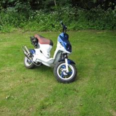 PGO pmx sport hverdags ged :b