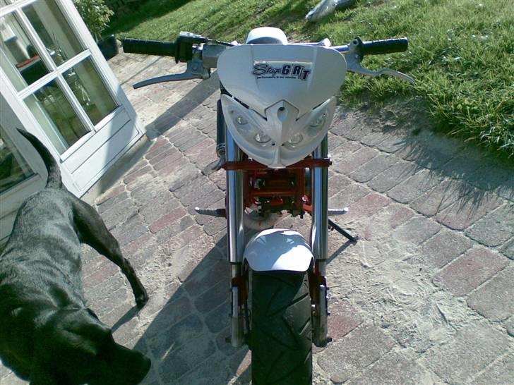 Suzuki street magic : byttet  billede 2