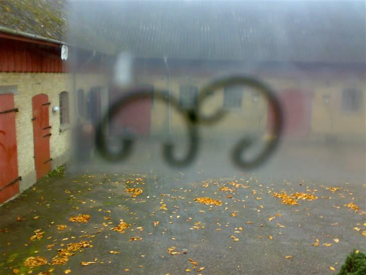 Yamaha jog fs byttet - de nye polini evo låseringe billede 10