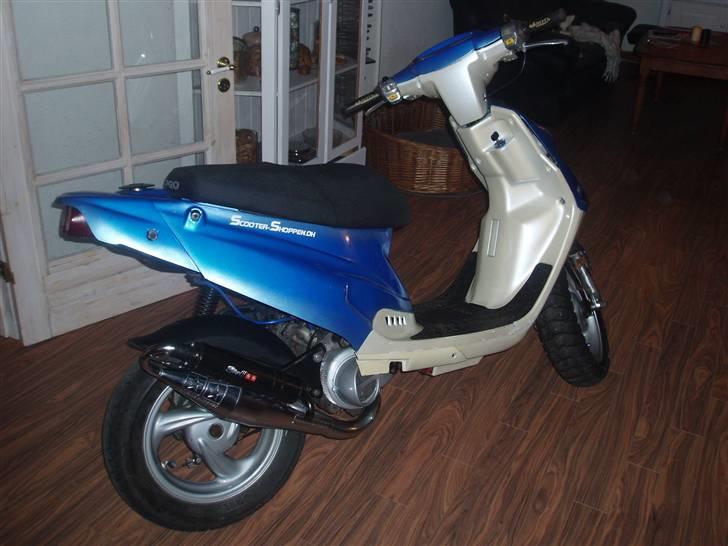 PGO Hot'50 Perlemor billede 2