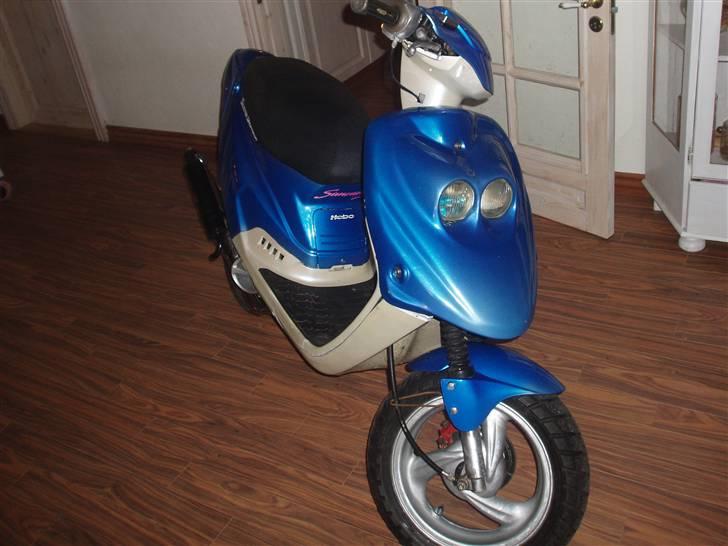 PGO Hot'50 Perlemor billede 3