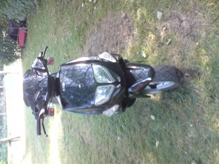 PGO dr big byttet til piaggio billede 3