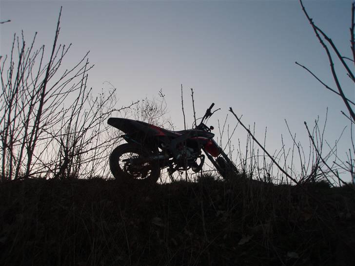 Derbi Senda SM LC DD(Solgt) billede 1